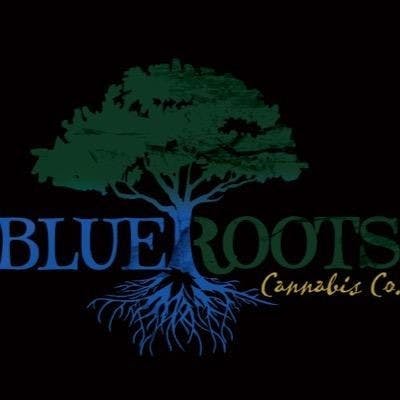 Blue Roots - Gelato Cake