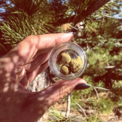 Everest Greenhouse Moon Rocks