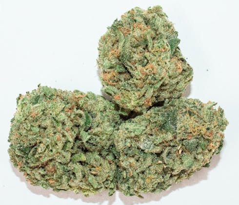 Chupacabra