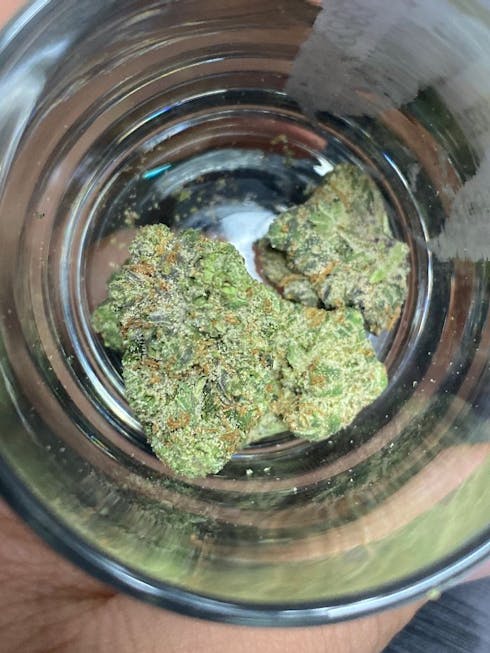 Platinum Og ( H ) Black Label