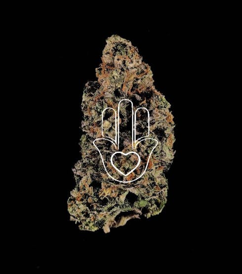 Forum Cut Cookies #10