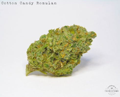 Cotton Candy Romulan (MED)