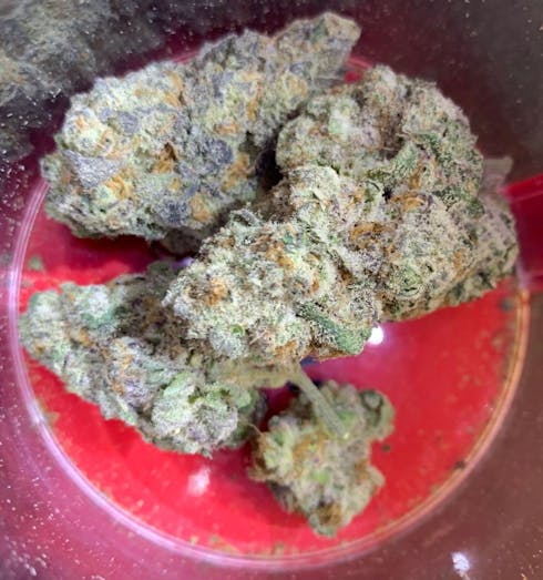 Lava Cake