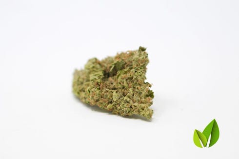 Purple Punch - XO Label