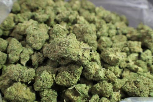 Blue Dream