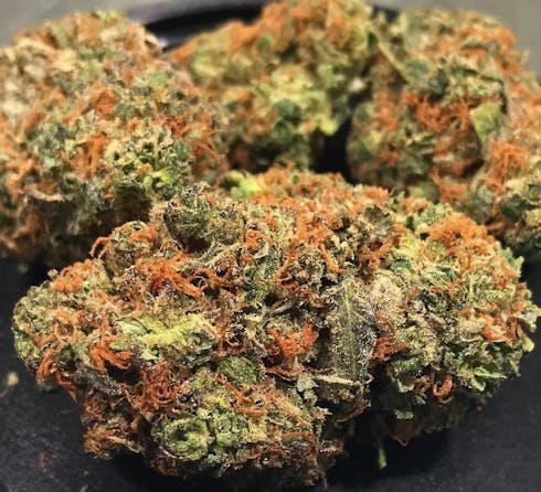 WHITE WIDOW