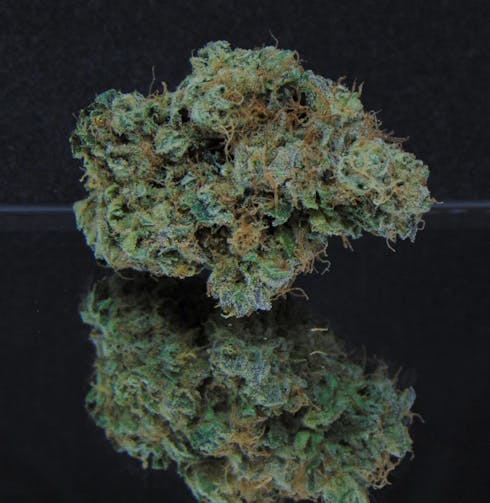 Albert Walker (Unknown Origins) *Indica Hybrid