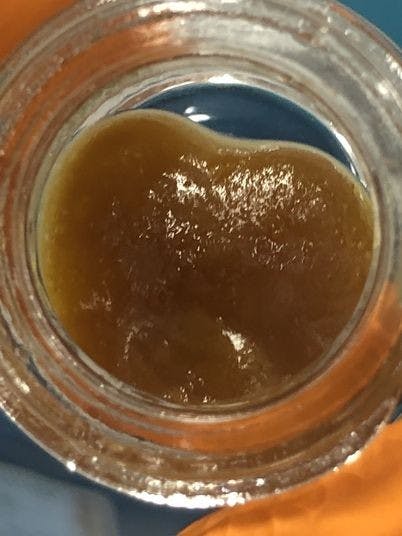 Critical Jack Terp Sauce