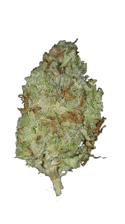 White Widow