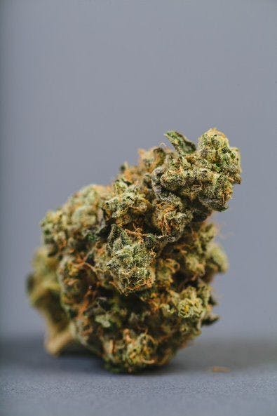 (TOP SHELF GROW) El Alquimista - Top Tier