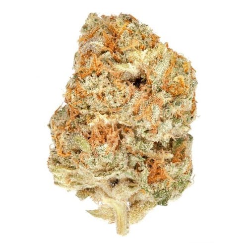 SNOWBALL (34.9%)