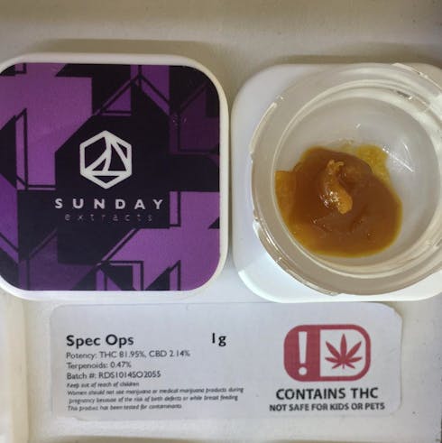 Sunday Extracts Spec Ops