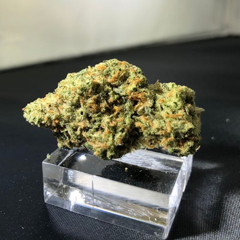 Citral Skunk