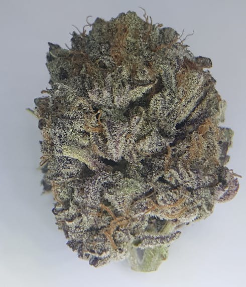 Purple Diesel