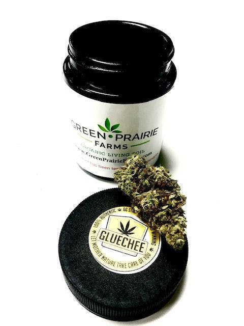 Green Prairie Farms GlueChee