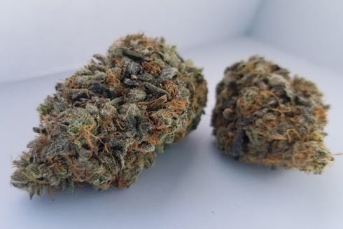 Lavender Jones