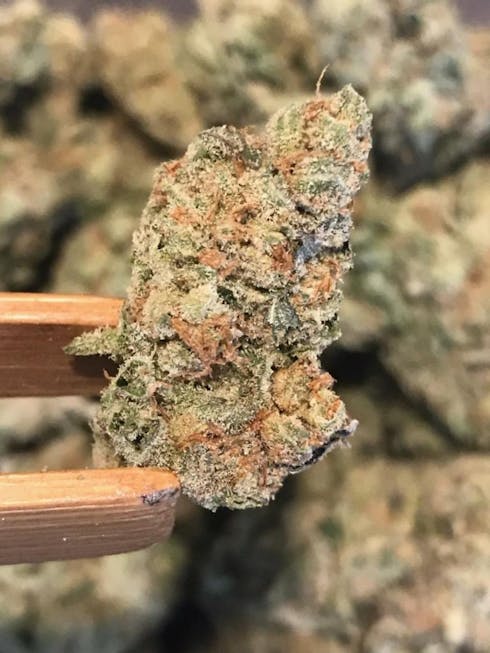 Frozen Gelato (60/40 I)