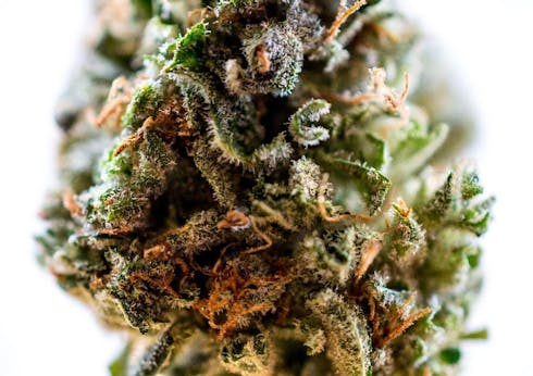 Sour Chem