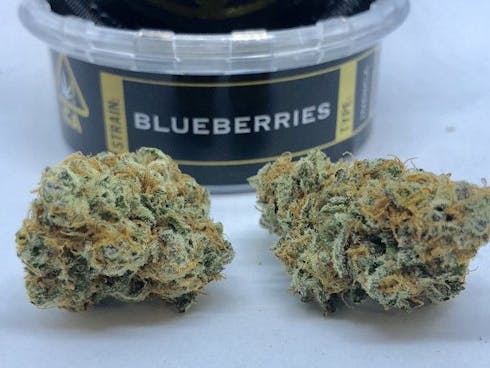 Blueberries