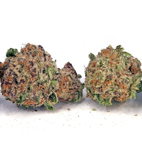 Cherry Punch (I-H)