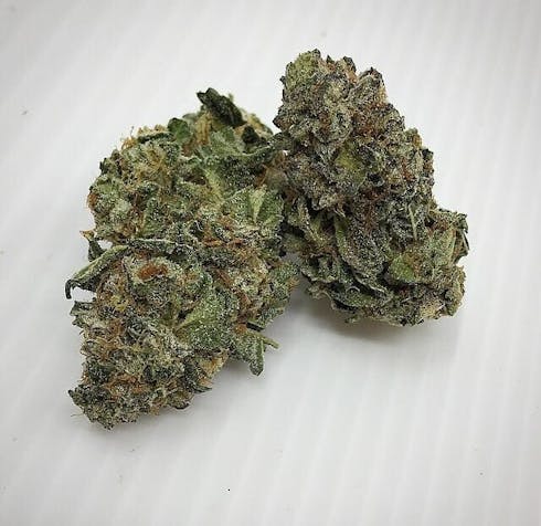 GSC