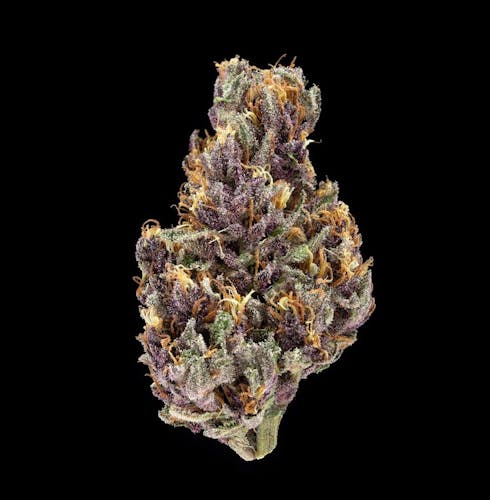 Purple Chem D.O.G