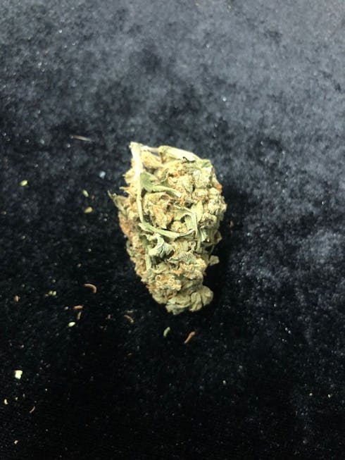 Chemdawg