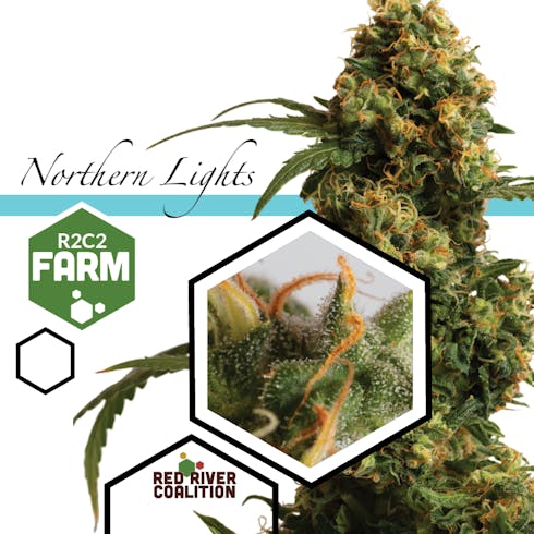 Northern Lights