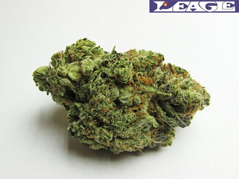 Bruce Banner #3