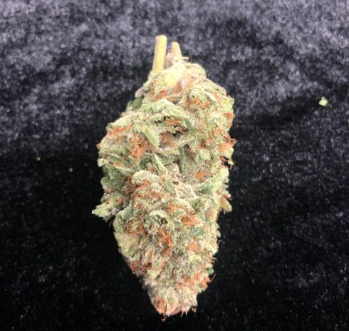 Trainwreck