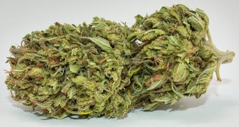 GSC (f.k.a. Girl Scout Cookies)