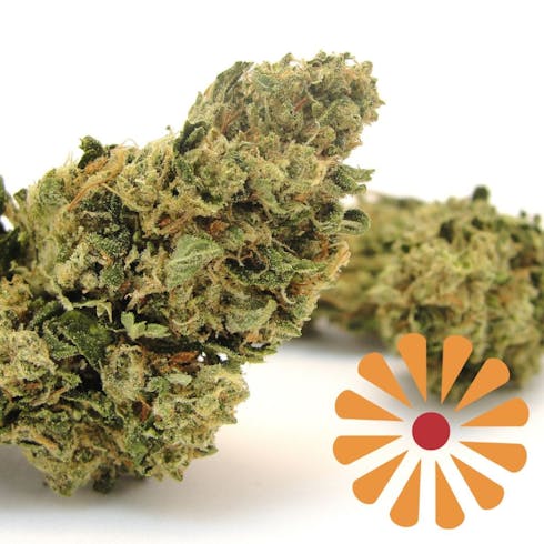 Elyon - Sour Diesel