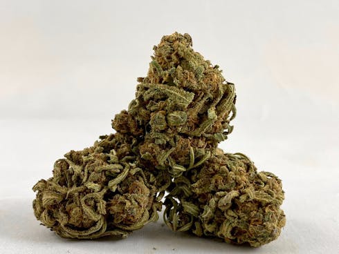 Kosher Kush