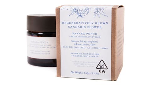 Tangie | Brother David's