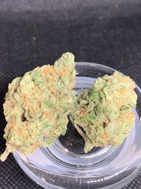 Blue Dream(s)