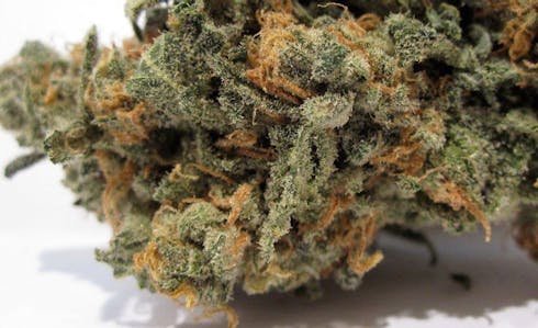 Cookies ND Cream