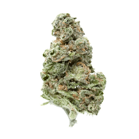 UK Cheese (H) | Greenway Medical