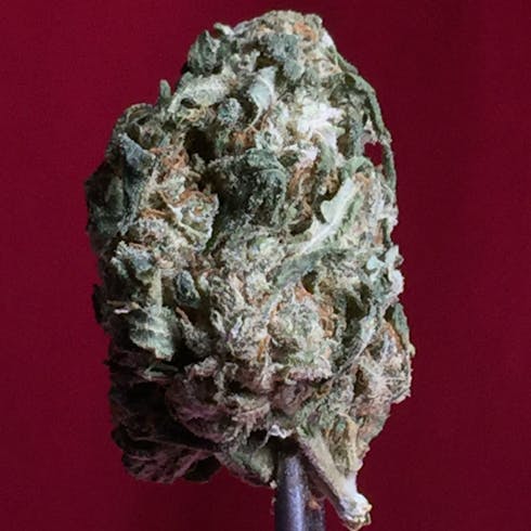 Critical Mass