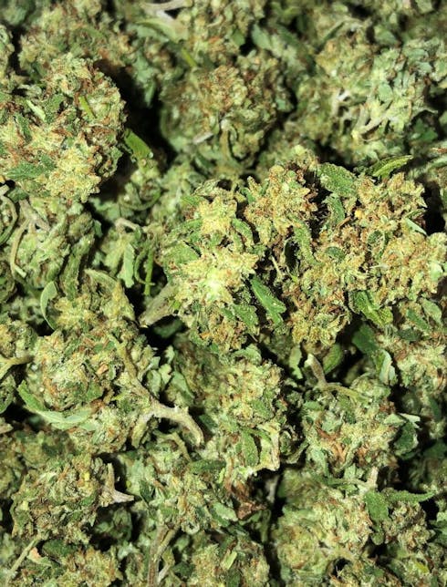 Bruce Banner