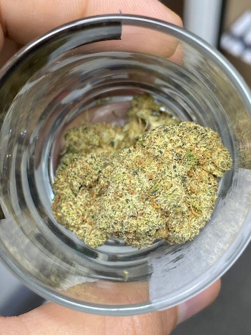 Glue Tech ( H ) Black Label