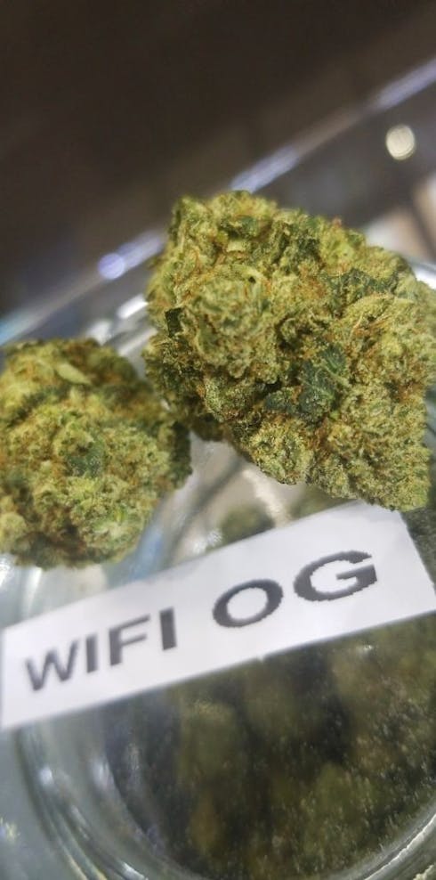 WIFI OG (White Fire OG)