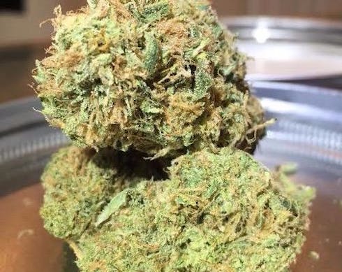 Legal Haze