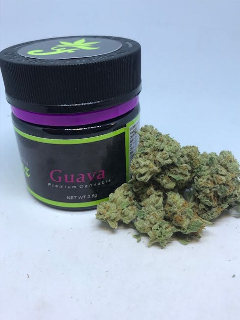 Fields Family Farmz - Guava 12.94%