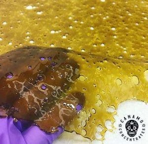 (CANAMO) Mini Slab - Lost Coast OG