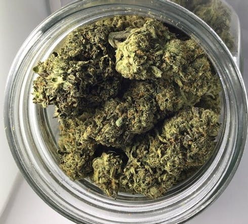 Gelato