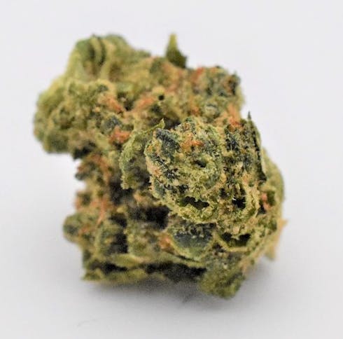 Skunk Chem