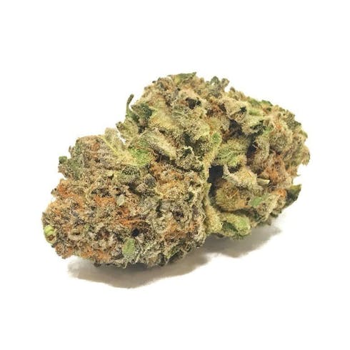 Mimosa | Pot Farmer Sal