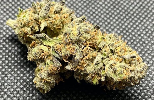 Sunburn $8.58 per gram before tax