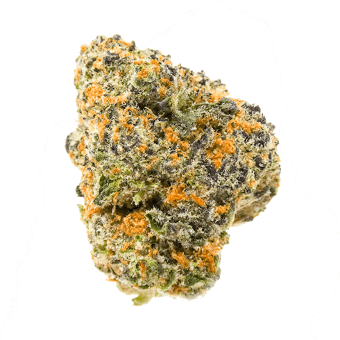 Meat Breath