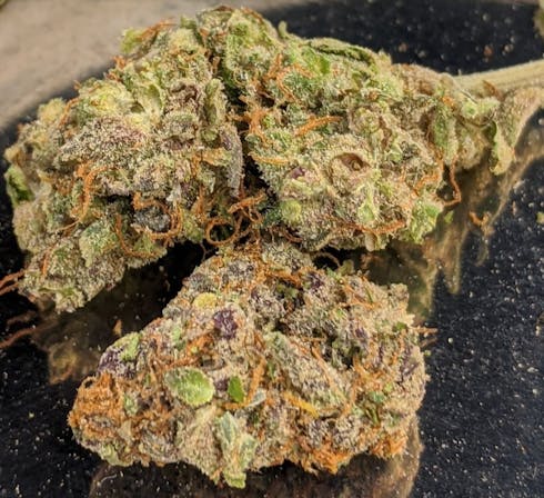 Passion Fruit